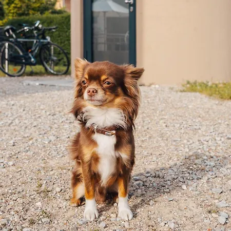 Slube Am Stadthafen מלון נויסטרליץ